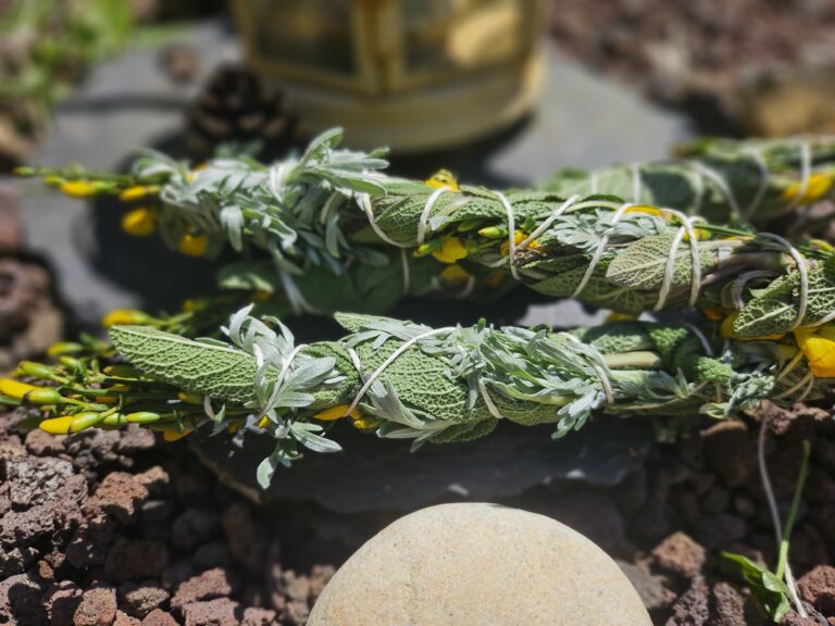 Productrices de plantes aromatiques et médicinales saveurs et condiments bio cosmétique naturel