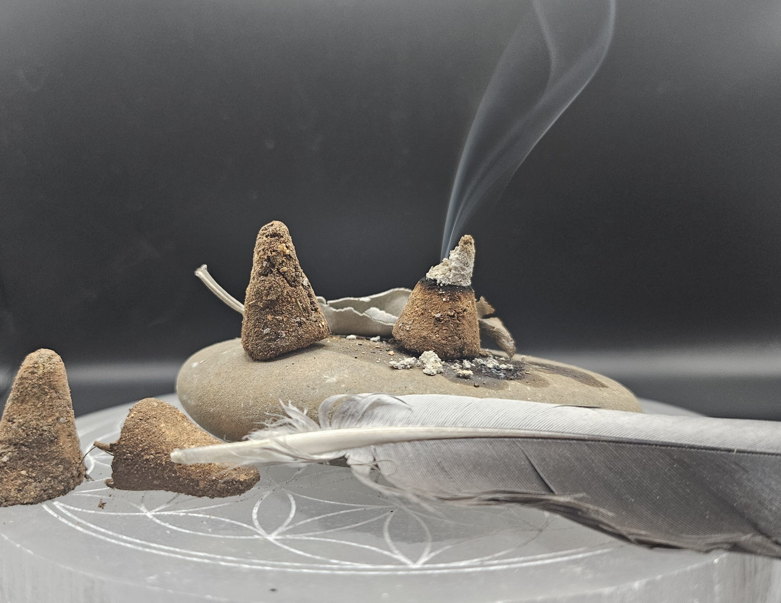 Productrices de plantes aromatiques et médicinales saveurs et condiments bio cosmétique naturel