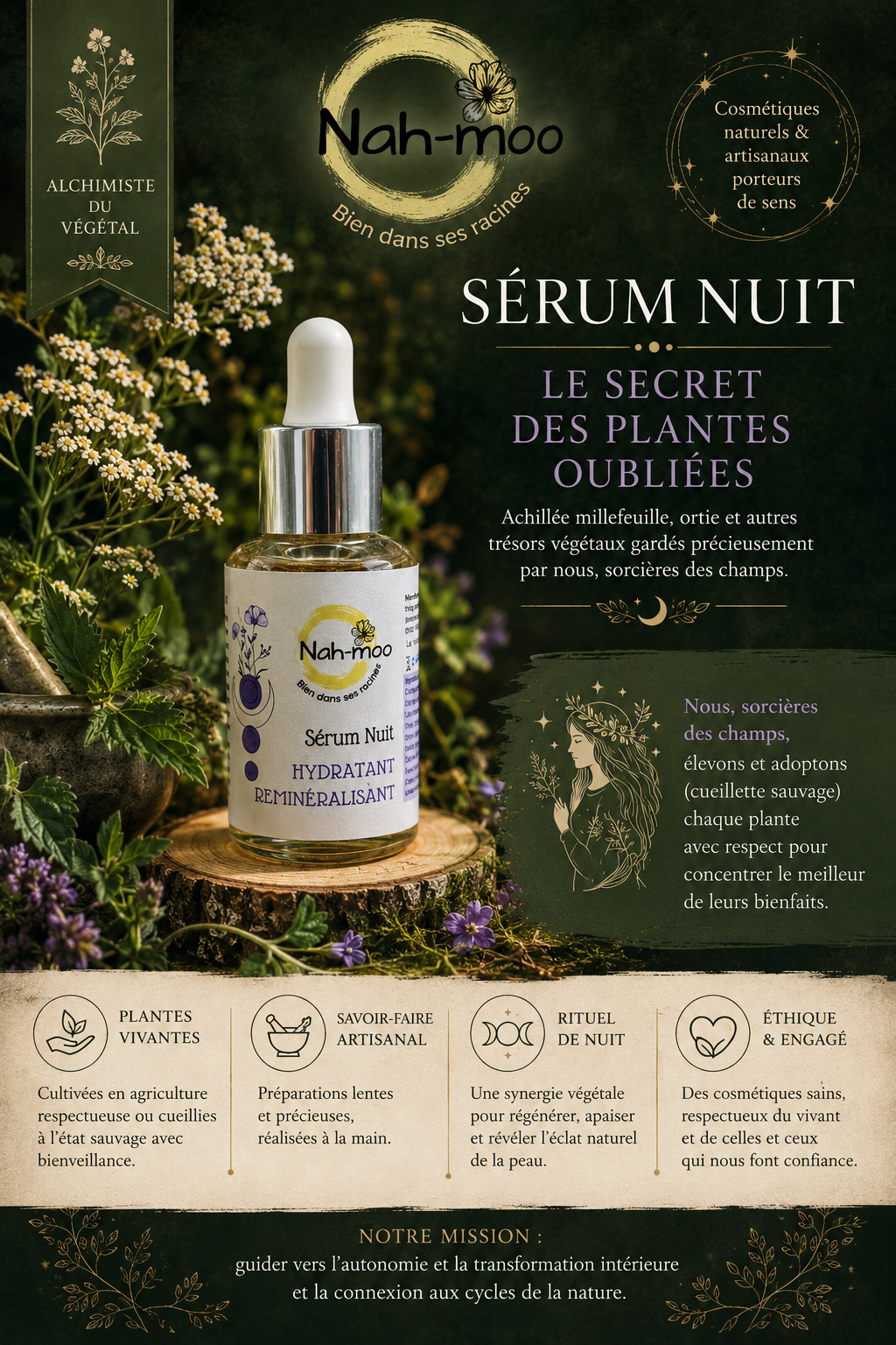 Cueillette sauvage et production de plantes aromatiques et médicinales