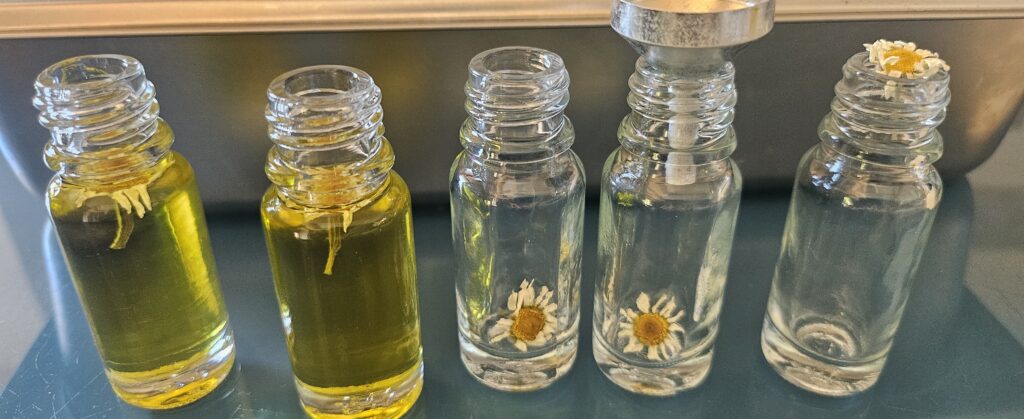 Cueillette sauvage et production de plantes aromatiques et médicinales