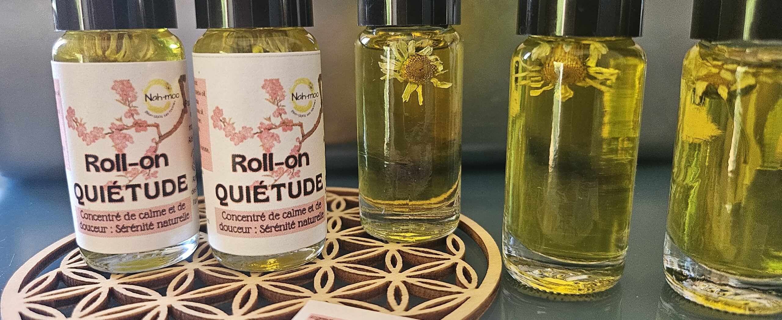 Cueillette sauvage et production de plantes aromatiques et médicinales