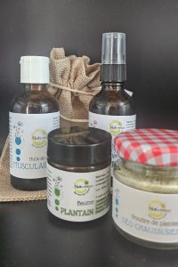 Productrices de plantes aromatiques et médicinales Baume plantain cosmétique naturel
