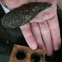 Productrices de plantes aromatiques et médicinales saveurs et condiments bio cosmétique naturel